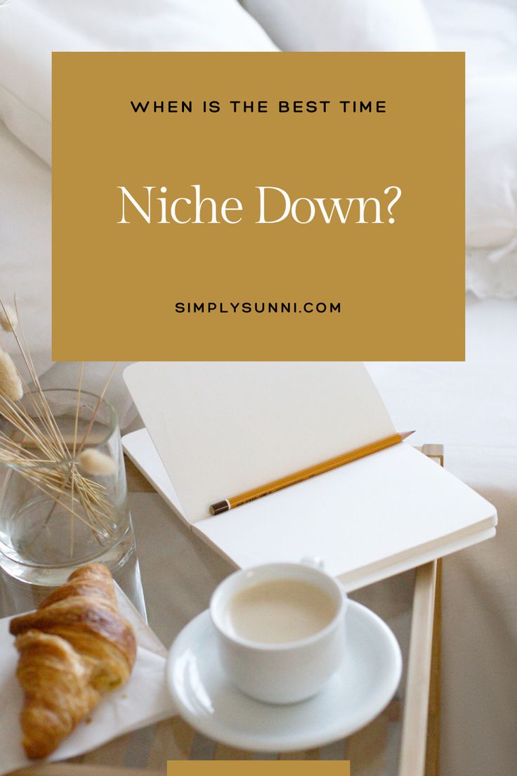 When is the best time to Niche Down blog Pin