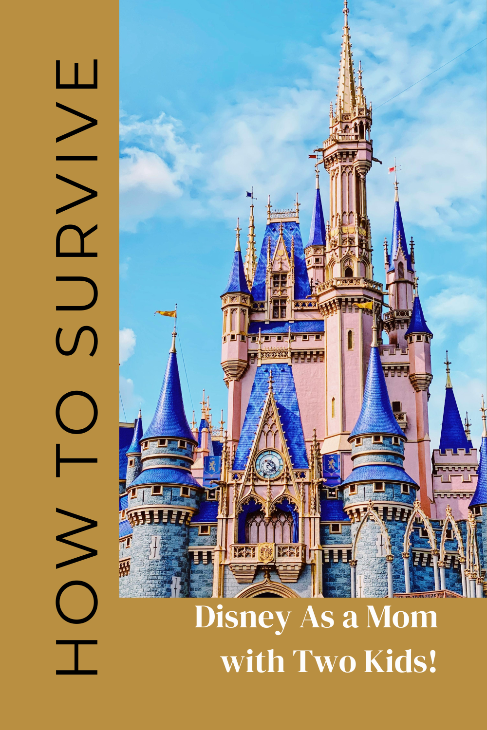 how to survive disney with two kids. 