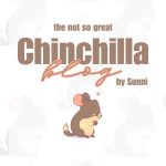 Chinchilla Blog cover page.