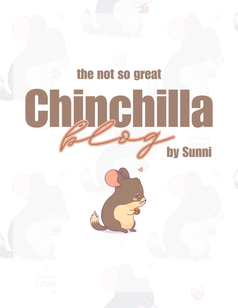Chinchilla Blog cover page.