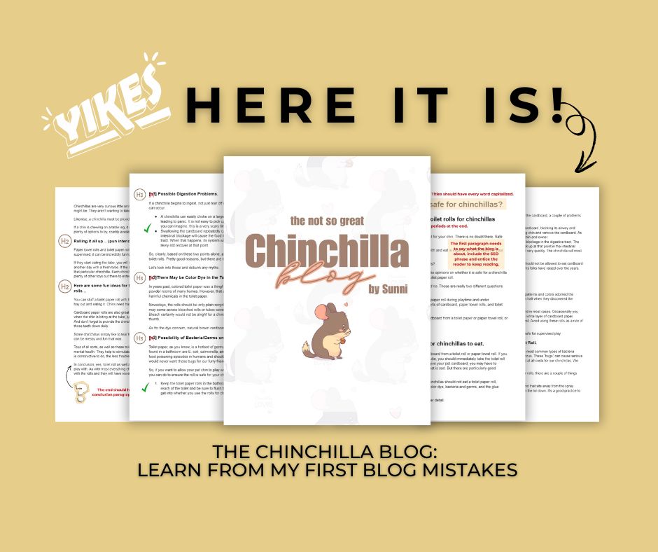 Here it is, my first paid blog post image of the Chinchilla Blog Post.