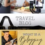Pinterest pin 2 graphic image featuring a beauty, travel and food blogger for What is a Blogging Niche.