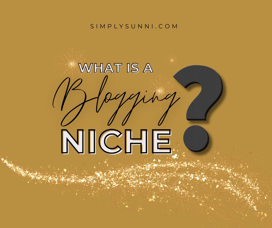 This is the featured image for the post titled "What is a Blogging Niche?"
