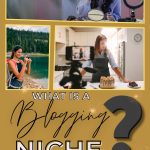 Pinterest pin graphic image featuring a beauty, travel and food blogger for What is a Blogging Niche.